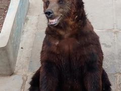 -西霞口神雕山野生动物世界