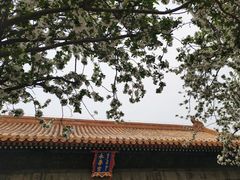 -故宫博物院(故宫)