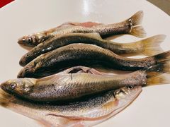 -海底捞火锅(公益西桥店)
