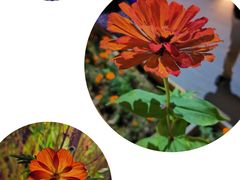 -百里峡七彩艺术小镇