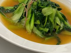 清炒鸡毛菜-圆苑(静安寺店)