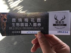 -鹿境梅花鹿生态园区