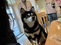 -柴の食堂·日式家庭料理·熊之肆(大学路店)