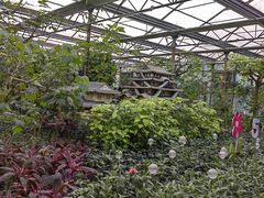 -南宫五洲植物乐园