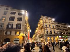 -圣母百花大教堂穹顶