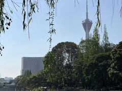 -成都市活水公园