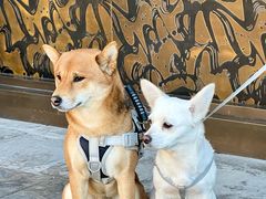 -喜晋道面馆(华严寺广场店)