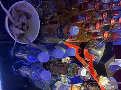 -温莎KTV(珠江路店)