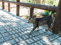 -南紀白浜 浜千鳥の湯 海舟