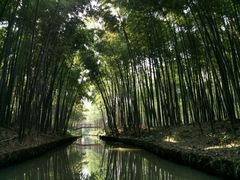 -同里国家湿地公园