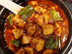 -陈麻婆豆腐总店