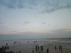 -南汇嘴观海公园