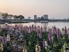-顺峰山公园