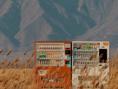 -野鸭湖国家湿地公园