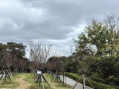 -金鸡山公园