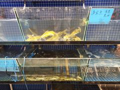 -火龙堂·风味民间菜(文一路店)