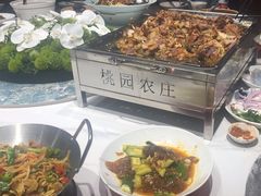 -桃园农庄烤全羊(江秋路店)