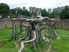 -南昌动物园