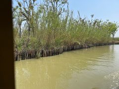 -泗洪洪泽湖湿地景区