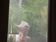 -福来齐·鲁菜海鲜·渔家菜(朝阳街分店)