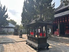 -秋霞圃