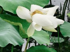 -鼓楼(西湖风景名胜区)