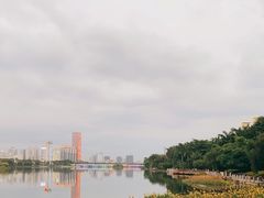 -南宁南湖公园