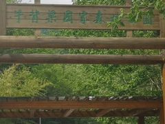 -牛背梁国家森林公园