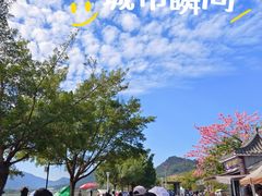 -风云岭森林公园