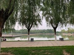 -五环公园