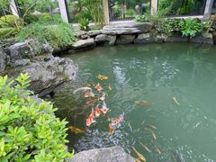 -新荣记(西溪湿地店)