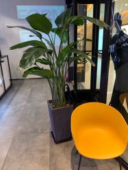 -SEBASTIAN塞巴斯汀