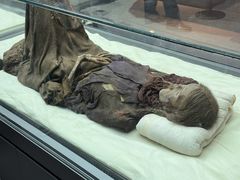 -巴音郭楞蒙古自治州博物馆