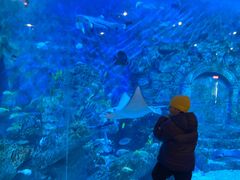 -横店影视城梦幻谷园区