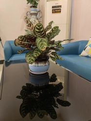 -悦润荟美容抗衰中心