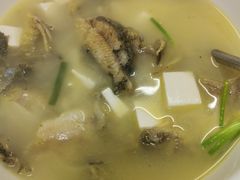 昂刺鱼豆腐汤-状元楼(金溪路店)