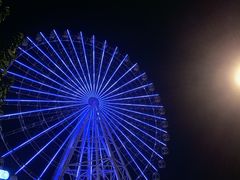 -憶廟街 X 沙角邨(太古城店)