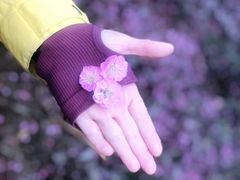 -新建村梅花