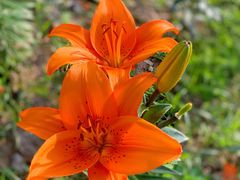 -漩门湾国家湿地公园