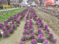 -中国天府农业博览园