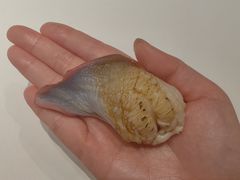 -嶺寿司