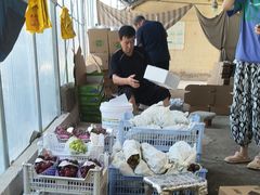 -马陆小张葡萄园农家乐