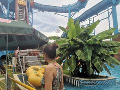 -苏州乐园森林水世界