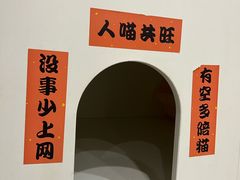 -楼上猫咖(罗湖店)