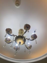 -顺德壹加壹美容医院