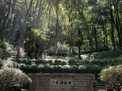-瑶琳仙境