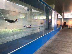 -成飞公园