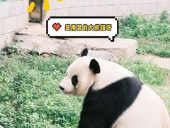 -南昌动物园