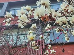 -浙江大学(玉泉校区)