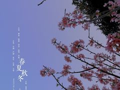 -狐尾山公园